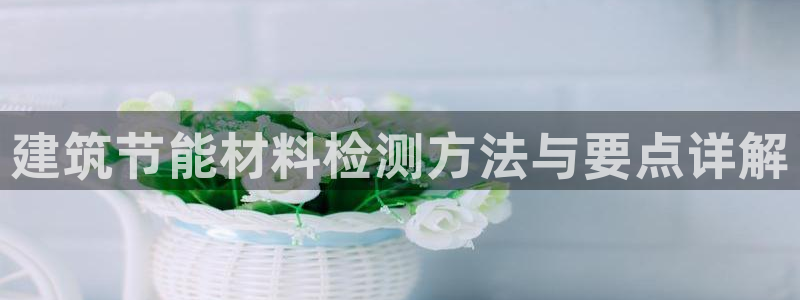 e尊国际可靠吗：建筑节能材料检测方法与要点详解