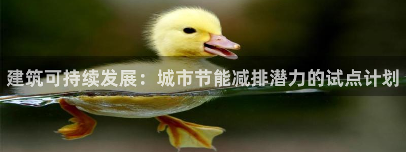 e尊国际平台：建筑可持续发展：城市节能减排潜力的试点计划