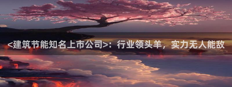 e尊国际是干什么的：<建筑节能知名上市公司>：行业领头羊，实力无人能敌