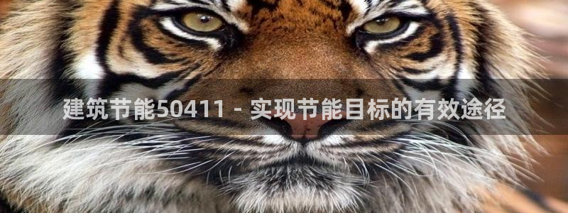 e尊国际平台：建筑节能50411 - 实现节能目标的有效途径