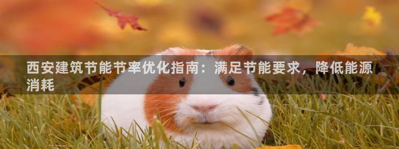 e尊国际官网app：西安建筑节能节率优化指南：满足节能要求，降低能源
消耗