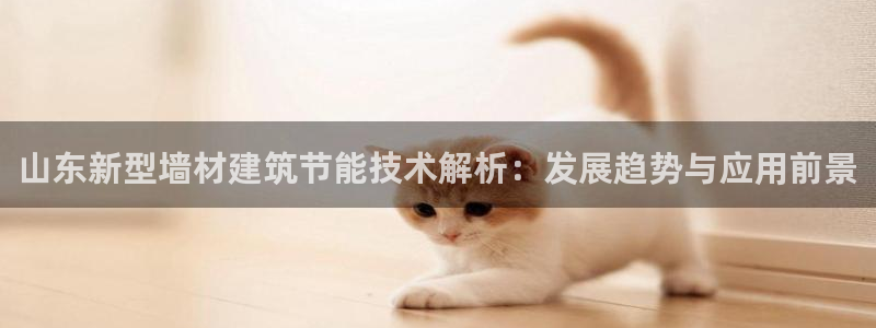 E尊国际：山东新型墙材建筑节能技术解析：发展趋势与应用前景