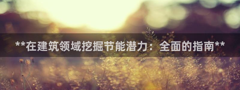 E尊国际：**在建筑领域挖掘节能潜力：全面的指南**