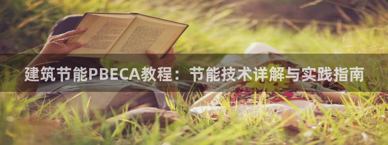 e尊国际客户端：建筑节能PBECA教程：节能技术详解与实践指南