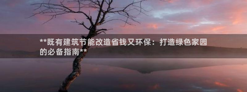 E尊国际：**既有建筑节能改造省钱又环保：打造绿色家园
的必备指南**
