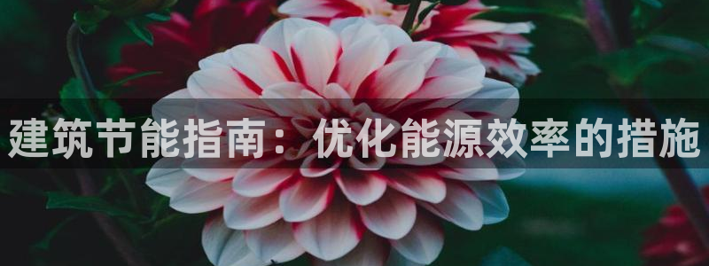 e尊平台：建筑节能指南：优化能源效率的措施
