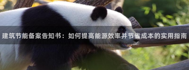 E尊国际：建筑节能备案告知书：如何提高能源效率并节省成本的实用指南