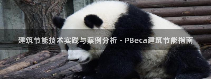 e尊国际平台：建筑节能技术实践与案例分析 - PBeca建筑节能指南
