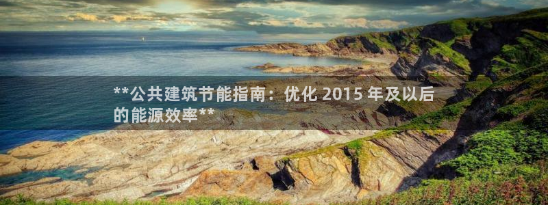 谁知道e尊国际的网址：**公共建筑节能指南：优化 2015 年及以后
的能源效率**
