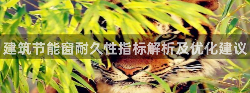 e尊国际-e尊国际官网：建筑节能窗耐久性指标解析及优化建议