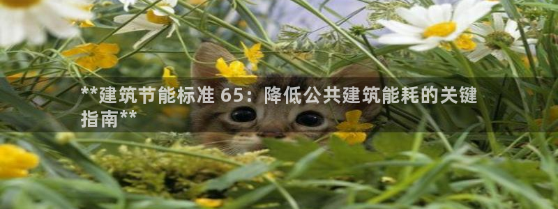 e尊国际可靠吗：**建筑节能标准 65：降低公共建筑能耗的关键
指南**