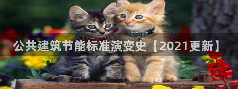 e尊体育：公共建筑节能标准演变史【2021更新】