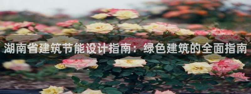 e尊国际平台：湖南省建筑节能设计指南：绿色建筑的全面指南
