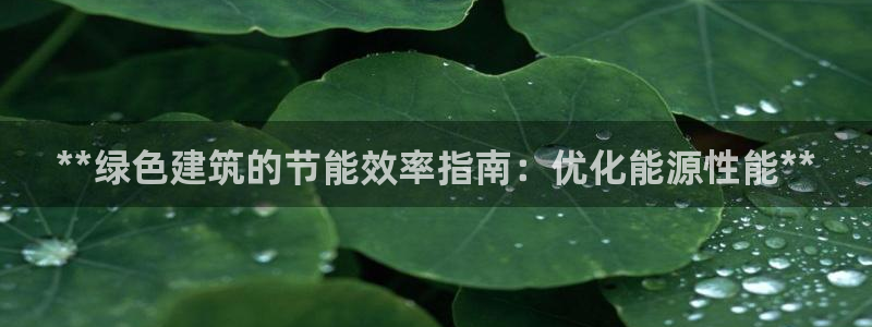 E尊国际：**绿色建筑的节能效率指南：优化能源性能**