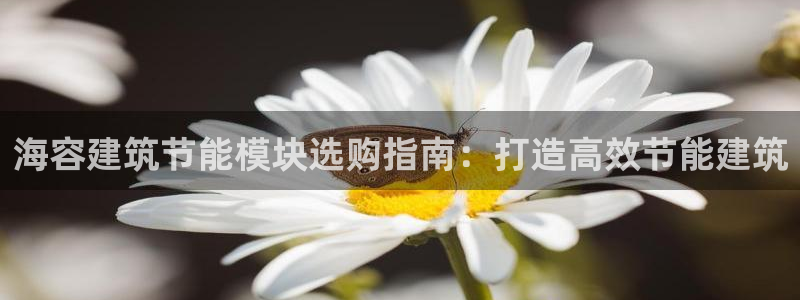 e尊国际可靠吗：海容建筑节能模块选购指南：打造高效节能建筑