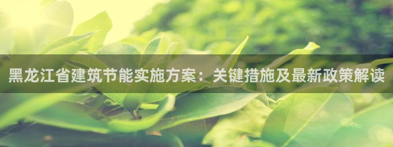 e尊国际客户端下载：黑龙江省建筑节能实施方案：关键措施及最新政策解读