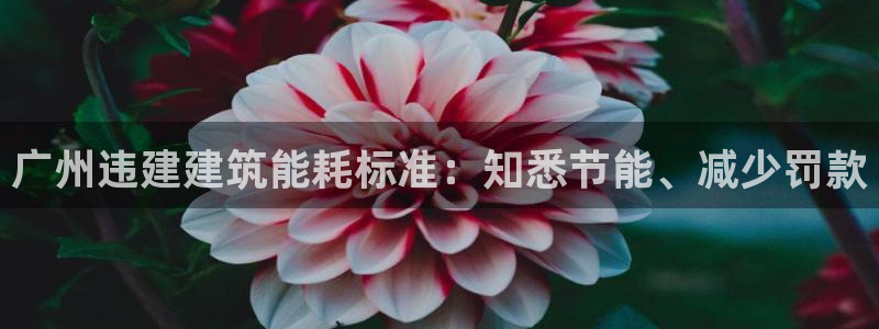 e尊国际的手机登录网站：广州违建建筑能耗标准：知悉节能、减少罚款