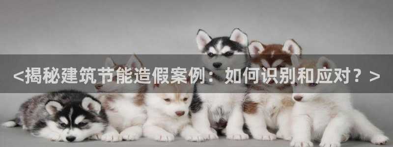 e尊国际可靠吗