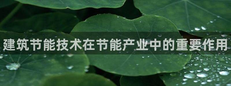 E尊国际：建筑节能技术在节能产业中的重要作用