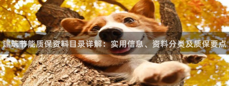 尊亿游戏国际官网：建筑节能质保资料目录详解：实用信息、资料分类及质保要点