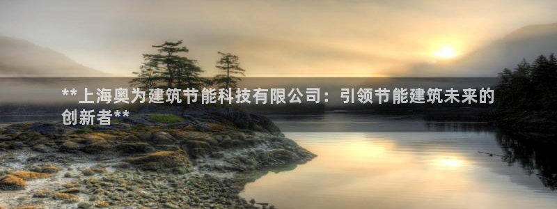 e尊国际是干什么的：**上海奥为建筑节能科技有限公司：引领节能建筑未来的
创新者**