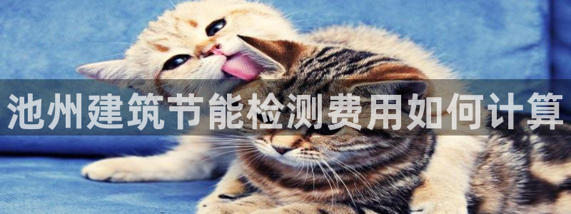 E尊国际：池州建筑节能检测费用如何计算